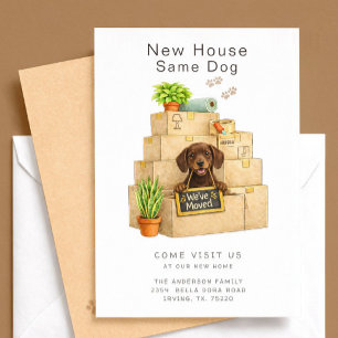 Chocolate Lab Nieuw Huis Verhuisbericht Kaart