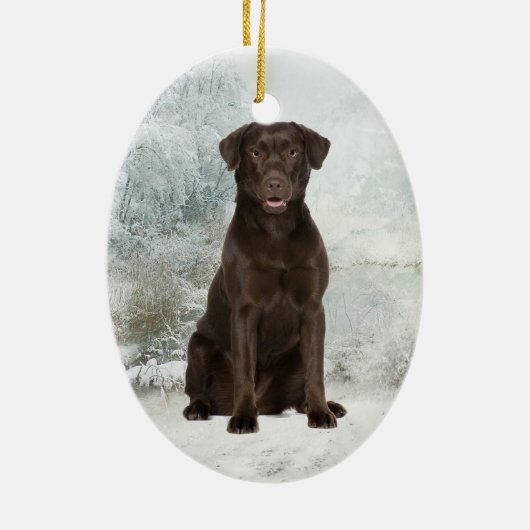 Chocolate Lab Ornament (Achterkant)