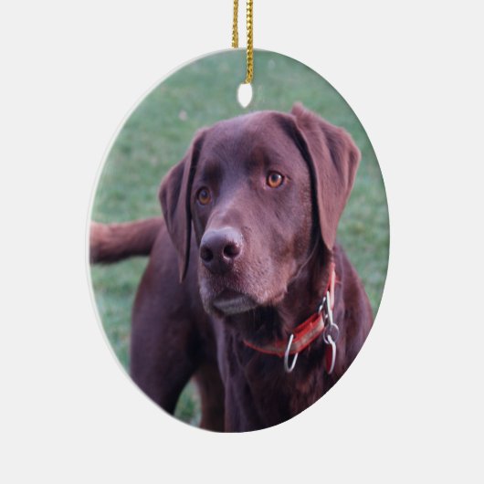 Chocolate Lab Ornament (Rechts)