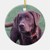 Chocolate Lab Ornament (Voorkant)