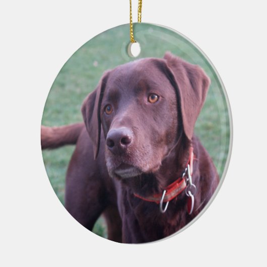 Chocolate Lab Ornament (Links)