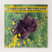 Chocolate Lab Portrait California Poppies Sjabloon Legpuzzel (Horizontaal)