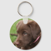 Chocolate Lab Pup Sleutelhanger (Voorkant)