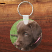 Chocolate Lab Pup Sleutelhanger (Voorkant)