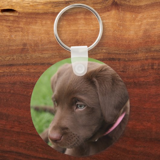 Chocolate Lab Pup Sleutelhanger (Voorkant)