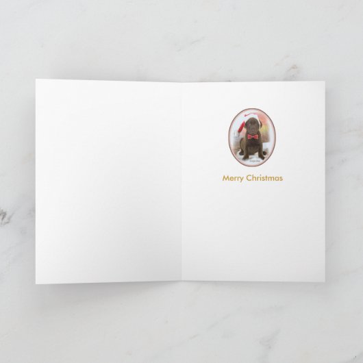 Chocolate Lab Puppy Kerst Kaarten (Binnen)