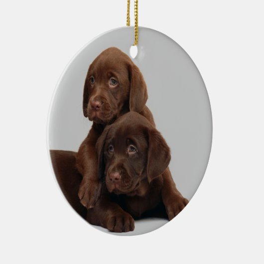 Chocolate Lab Puppy Ornament (Rechts)