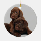 Chocolate Lab Puppy Ornament (Voorkant)