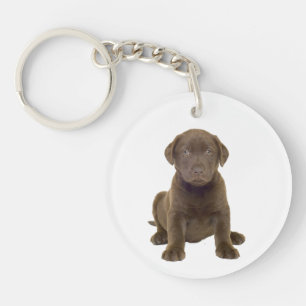 Chocolate Lab Puppy Sleutelhanger