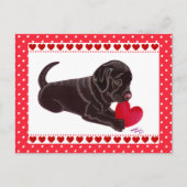 Chocolate Lab Puppy Valentijnsdag kaart (Voorkant)