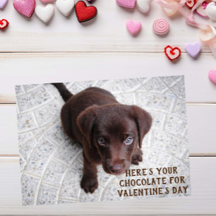 Chocolate Lab Puppy Valentijnsdag Meme Kaart