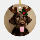 Chocolate Lab Reindeer Keramisch Ornament (Voorkant)