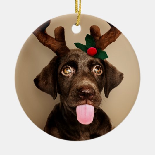 Chocolate Lab Reindeer Keramisch Ornament (Voorkant)