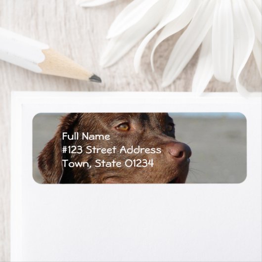 Chocolate Lab retouradres mailinglabel Etiket (Insitu)