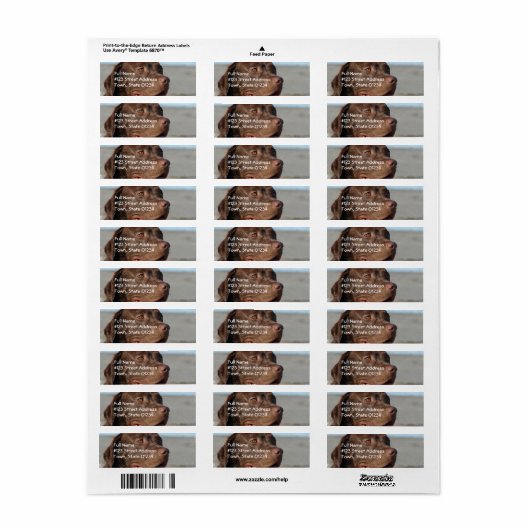Chocolate Lab retouradres mailinglabel Etiket (Full Sheet)