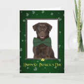 Chocolate Lab St. Patrick's Day Kaart (Voorkant)