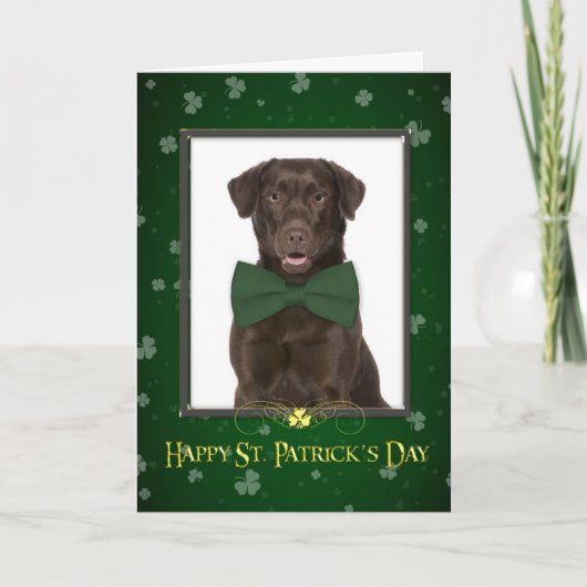 Chocolate Lab St. Patrick's Day Kaart (Voorkant)