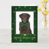 Chocolate Lab St. Patrick's Day Kaart (Gele Bloem)