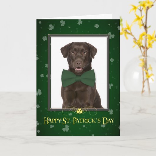 Chocolate Lab St. Patrick's Day Kaart (Gele Bloem)