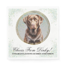 Chocolate Lab Trouwservetten Met Honden Foto