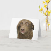 Chocolate Lab Verjaardag Kaart (Gele Bloem)