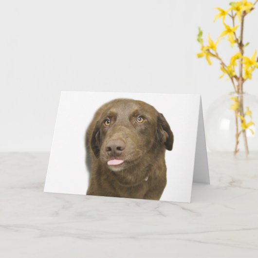 Chocolate Lab Verjaardag Kaart (Gele Bloem)