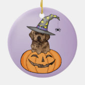 Chocolate Lab Witch Keramisch Ornament (Achterkant)