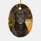 Chocolate Lab Xmas Ornament (Voorkant)