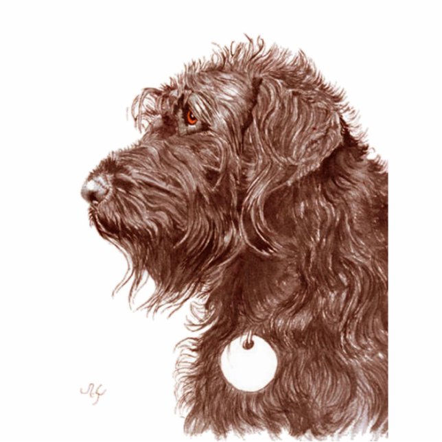 Chocolate Labradole-sculptuur Staand Fotobeeldje (Voorkant)