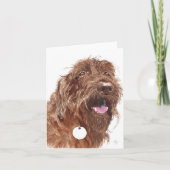 Chocolate Labradoodle #1 Notecards Kaart (Voorkant)