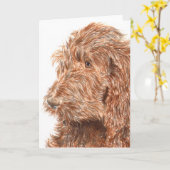 Chocolate Labradoodle #2 Greeting Card Kaart (Gele Bloem)
