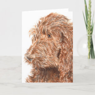 Chocolate Labradoodle #2 Greeting Card Kaart