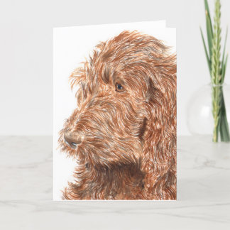 Chocolate Labradoodle #2 Greeting Card Kaart