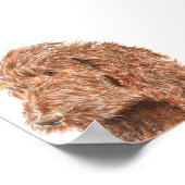 Chocolate Labradoodle #2 Print (Hoek)