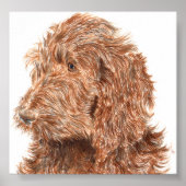 Chocolate Labradoodle #2 Print (Voorkant)