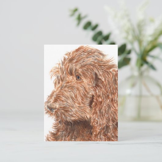 Chocolate Labradoodle Briefkaart (Staand voorkant)