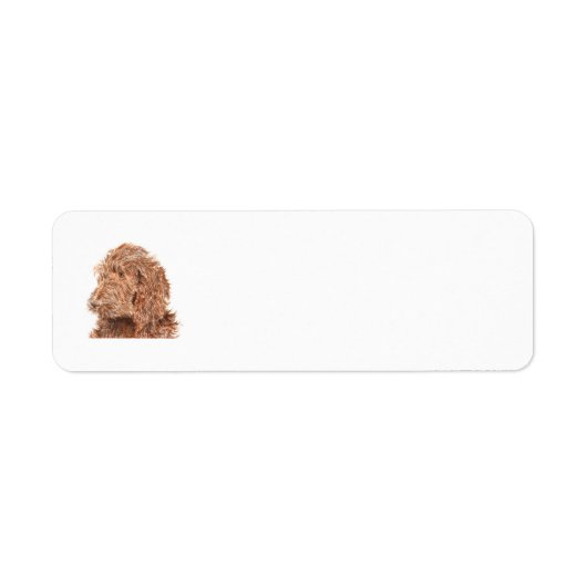 Chocolate Labradoodle Etiket (Voorkant)