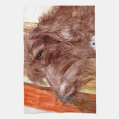 Chocolate Labradoodle Jackson Theedoek (Verticaal)