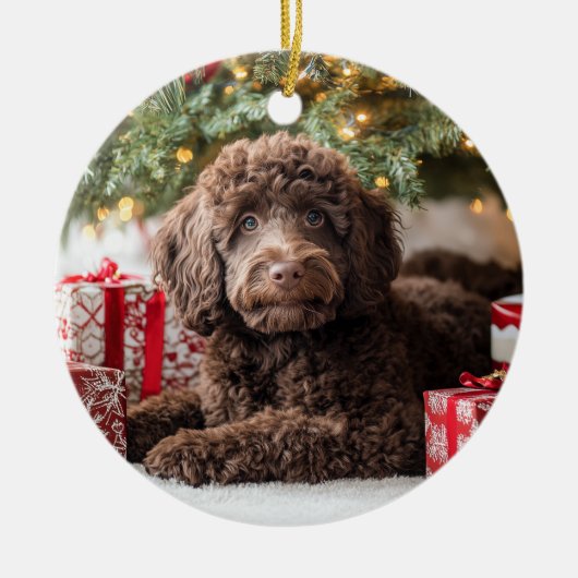 Chocolate Labradoodle Keramisch Ornament (Voorkant)