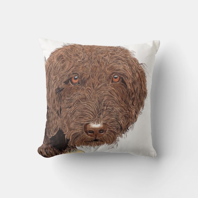 Chocolate Labradoodle Kussen (Voorkant)