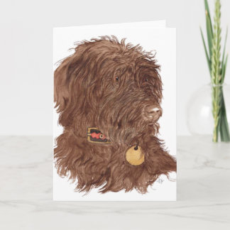 Chocolate Labradoodle Xena Greeting Cards Kaart