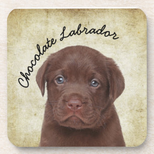 Chocolate Labrador Bier Onderzetter