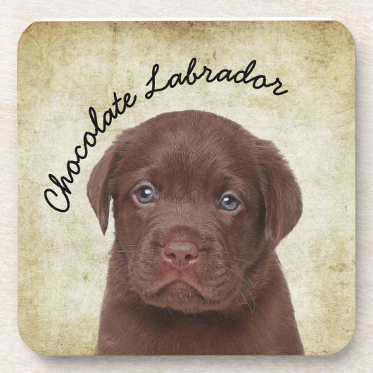 Chocolate Labrador Bier Onderzetter (Voorkant)