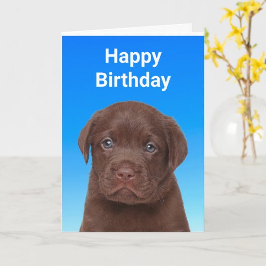 Chocolate Labrador Birthday Kaart (Gele Bloem)