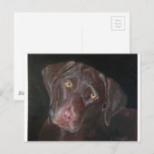 Chocolate Labrador Briefkaart (Voorkant / Achterkant)