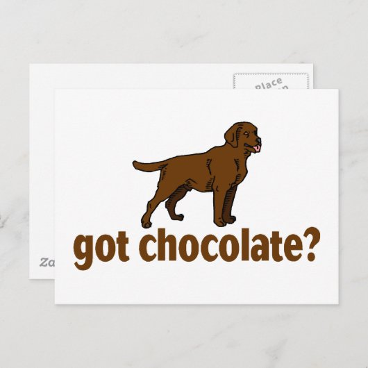 Chocolate Labrador Briefkaart (Voorkant / Achterkant)