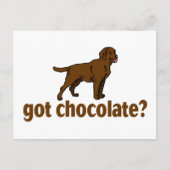 Chocolate Labrador Briefkaart (Voorkant)