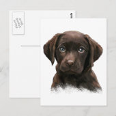 Chocolate Labrador Briefkaart (Voorkant / Achterkant)