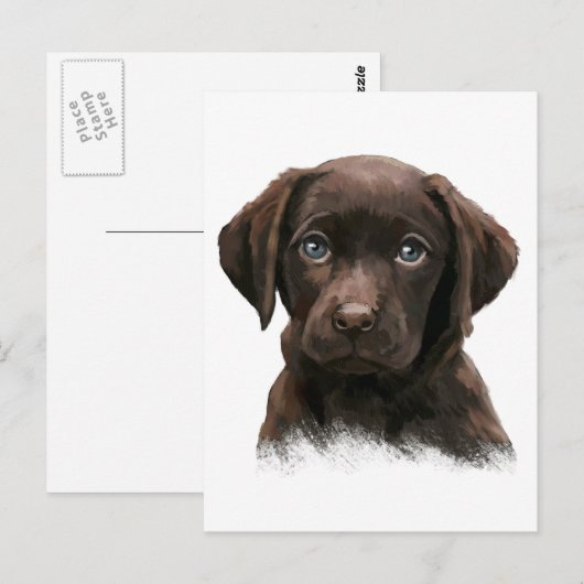 Chocolate Labrador Briefkaart (Voorkant / Achterkant)