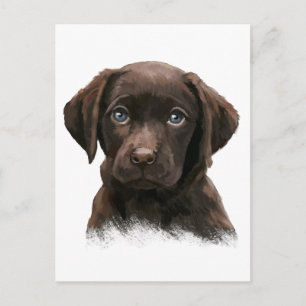 Chocolate Labrador Briefkaart